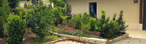 Nous entretenons vos espaces verts et circulations extérieures